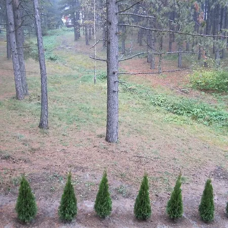 Kiki Zlatibor