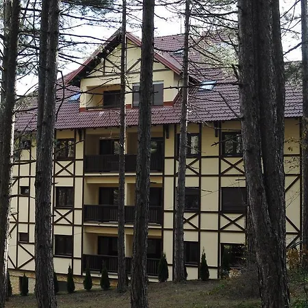 Kiki * Zlatibor